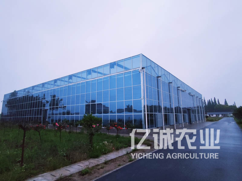 智能化玻璃溫室大棚建設(shè)廠家：讓農(nóng)業(yè)生產(chǎn)更科技化、高效化的選擇