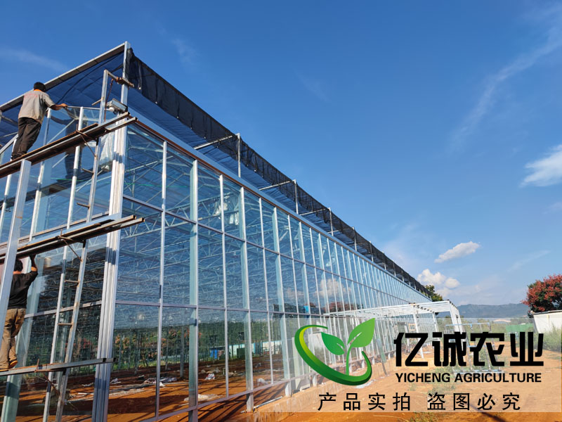 溫室大棚建設(shè)廠家蘑菇種植大棚_溫室工程安裝_玻璃溫室大棚性能特點(diǎn)