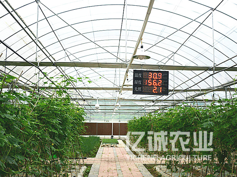 智慧農(nóng)業(yè)大棚