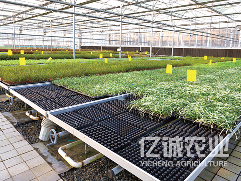智慧農(nóng)業(yè)公司大棚建造