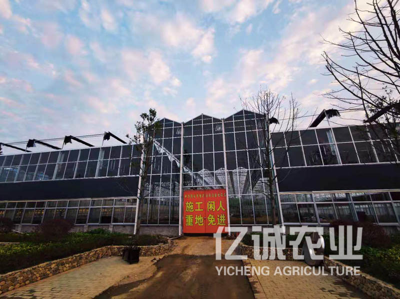 生態餐廳溫室大棚建造